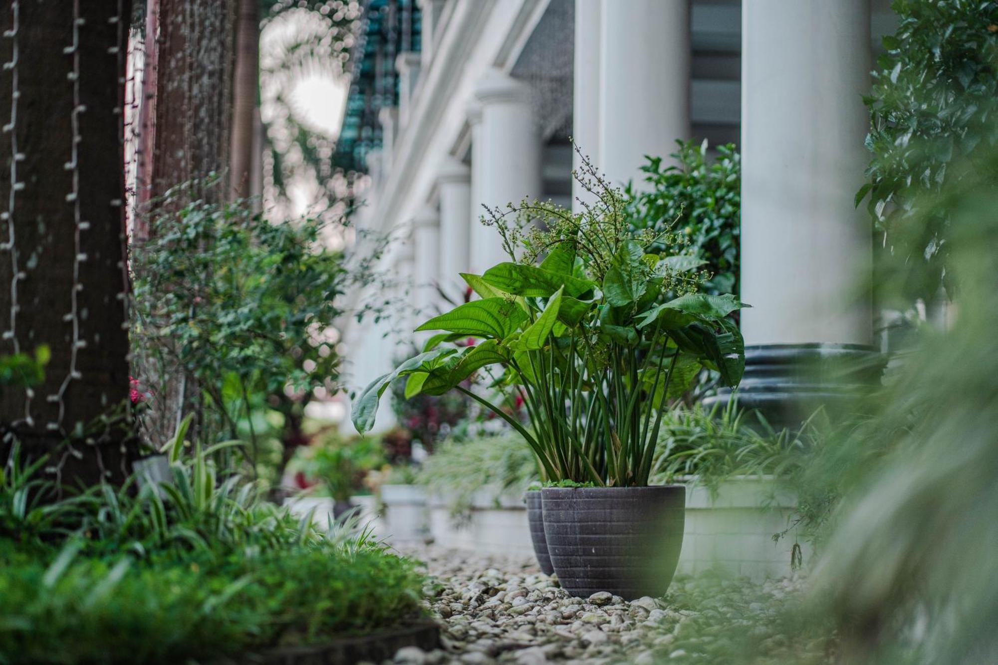 May Plaza Hotel Thái Nguyên Kültér fotó